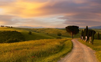 Tuscany countryside in Italy. Fabrizio Lunardi@Unsplash