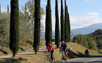 Two cyclists ride along a scenic road flanked by tall cypress trees in the Tuscan countryside, with rolling hills and distant mountains in the background.