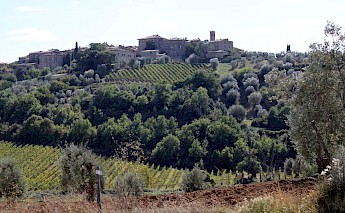 A Tuscan hillside village with vineyards and olive groves in the foreground, reflecting the regions around Siena, Montalcino, and Pienza in Italy.