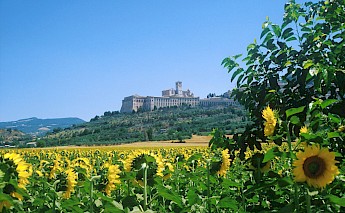 The great Umbrian countryside in Italy!