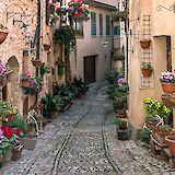 Spello, province Perugia, Umbria, Italy. sterlinglanier Lanier@Unsplash