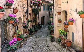Spello, province Perugia, Umbria, Italy. sterlinglanier Lanier@Unsplash