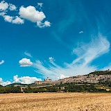 Umbrian landscape in Italy. Edoardo Busti@Unsplash