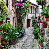 Spello, province Perugia, Umbria, Italy.