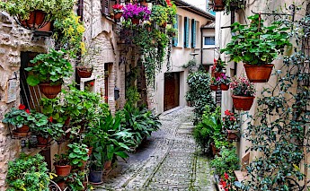 Spello, province Perugia, Umbria, Italy.