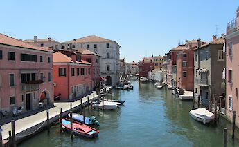 Seagulls in Chioggia, the "Little Venice" in Veneto, Italy. Michelle Woodson Howell@Unsplash