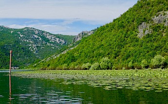 Lake Skadar National Park, Montenegro.