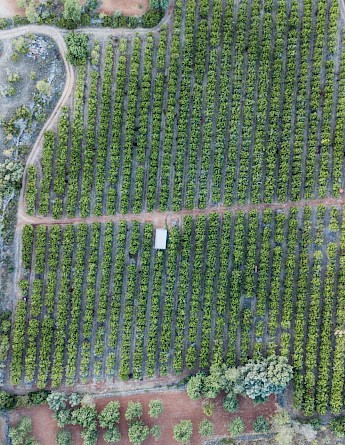 Boliqueime, Faro District, Portugal. Ryan Searle, Unsplash