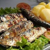Grilled large sardines are a Portuguese favorite! CC:Yusuke Kawasaki