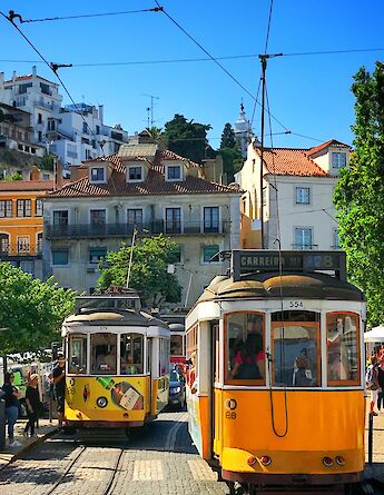 Trams in Lisbon, Portugal. Victor Malyushev@Unsplash