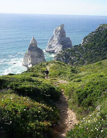 Coastal trails in Sintra, Portugal. Rock Vincent Guitard@Unsplash