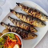 Fresh fish in Portugal. Alex Teixeira, Unsplash