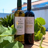 Portuguese wine! Bruno Ferreira, Unsplash