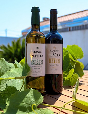 Portuguese wine! Bruno Ferreira, Unsplash