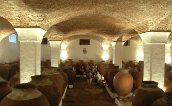 Alentejo, Portugal's Castles & Wine Bike Tour