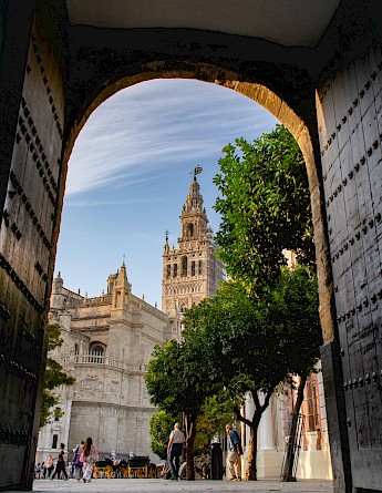 Cathedral Sevilla, Spain. Sebastian Malecki, Unsplash
