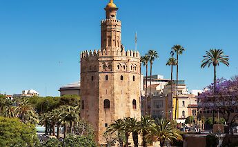 Tower and palm trees in Seville, Spain. Unsplash:Getty Images