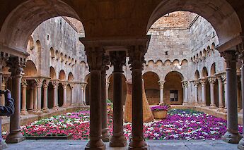 Bright flowers in a courtyard, Girona, Spain. Unsplash:Manuel Torres Garcia