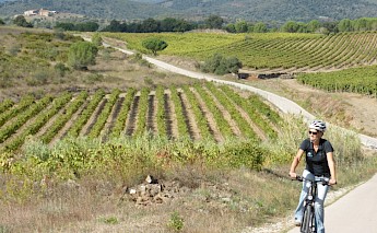 Catalonia Bike Tour