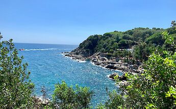Lush greenery along the Girona coast, Spain. Unsplash:Leo Rouillon