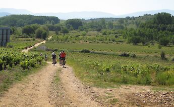 Camino de Santiago: From León to Santiago Bike Tour