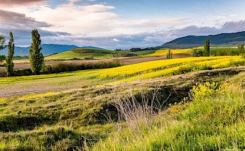 Camino de Santiago Pilgrimage Route