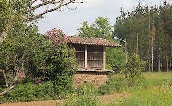 Camino de Santiago: From León to Santiago Bike Tour