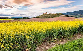 Uterga, Spain on the Santiago De Compostela Pilgrimage Route. Alexander Schimmeck@Unsplash