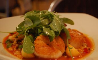 Scallops are what this region is known for, hence the shells make up the signs. stu_spivack@Flickr