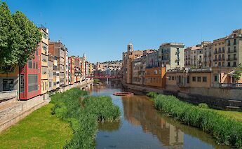 Grass along the banks of the river, Girona, Spain. Unsplash:Manuel Torres Garcia