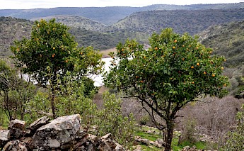 Monfragüe National Park, Extremadura, Spain. Raul Hidalgo@Flickr