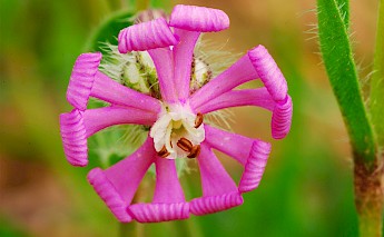 Plasencia, Extremadura, Spain. Antonio@Flickr