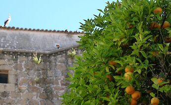 Extremadura Western Spain Land of the Conquistadors Bike Tour