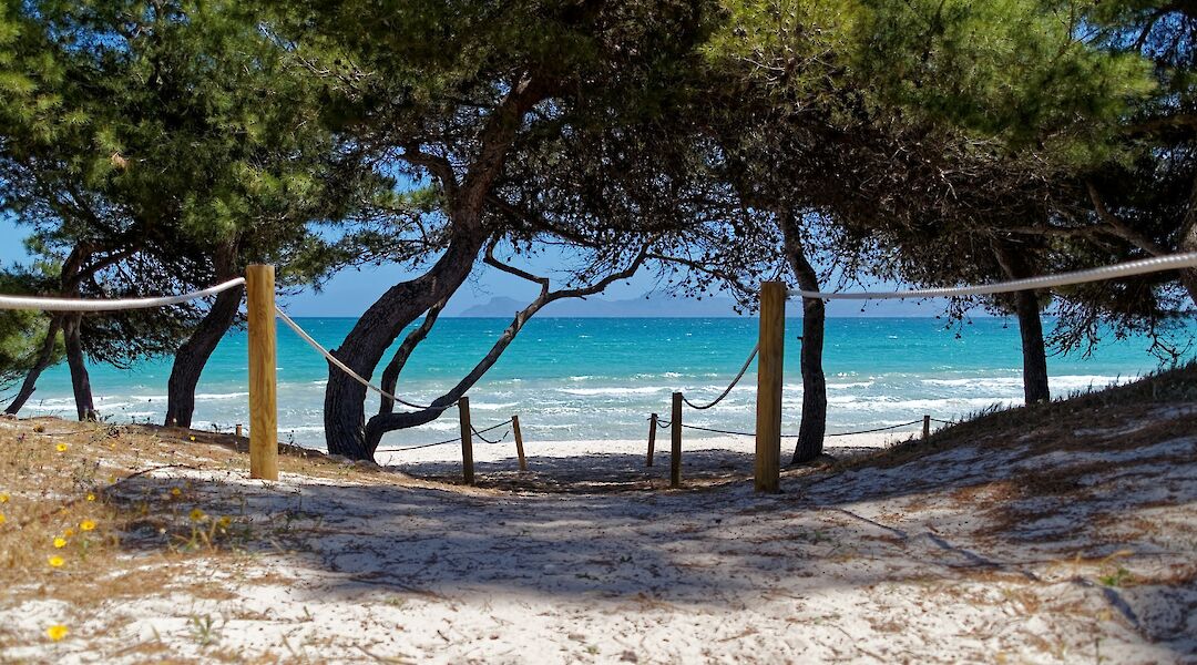Alcúdia, Majorca, Spain. Unsplash@Alex Kulikov