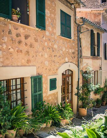 Plants outside houses in Fornalutx, Majorca, Spain. Unsplash@id23
