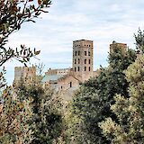 Flourishing trees, Girona, Spain. Unsplash:Julien Paoletti