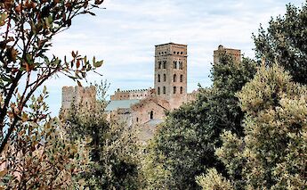 Flourishing trees, Girona, Spain. Unsplash:Julien Paoletti