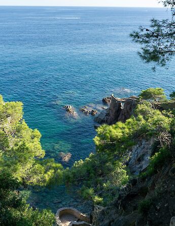 Looking down over the sea and lush greenery, Sant Feliu de Guixols, Spain. Unsplash:Alejandro Sevilla