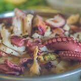 Octopus Spain (photo:jamessutton)