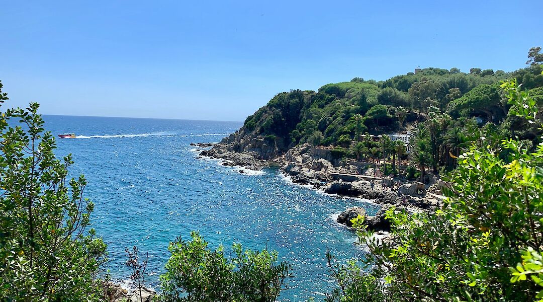 The vibrant green coast at Sant Feliu de Guixols, Spain. Unsplash:Leo Rouillon
