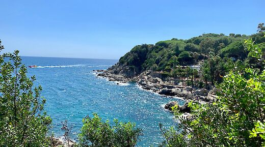 The vibrant green coast at Sant Feliu de Guixols, Spain. Unsplash:Leo Rouillon