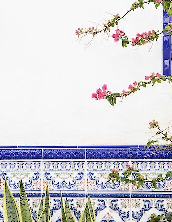 Northern Spain. Ornella Binni@Unsplash