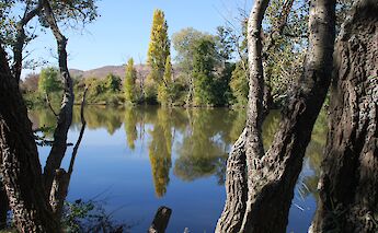 Ebro River viewed through trees, Spain. Flickr:Juanje Orio