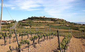 Hilltop town of Laguardia, Spain. Flickr:Ruben Holthuijsen