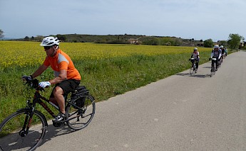 Catalonia’s Empordà Plain Wine & Cuisine Bike Tour