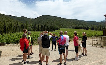 Catalonia’s Empordà Plain Wine & Cuisine Bike Tour