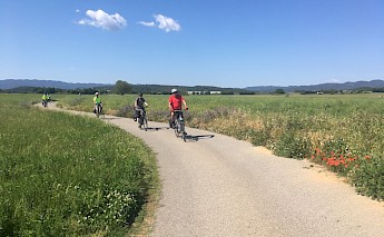 Catalonia’s Empordà Plain Wine & Cuisine Bike Tour