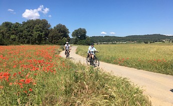 Catalonia Spain’s Empordà Plain Wine & Cuisine Bike Tour
