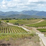 Catalonia’s Empordà Plain Wine & Cuisine Bike Tour