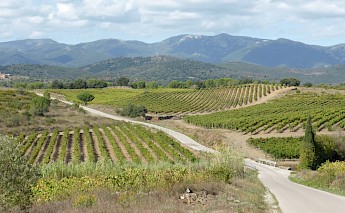 Catalonia’s Empordà Plain Wine & Cuisine Bike Tour